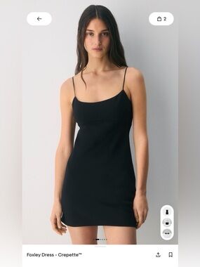 Aritzia Foxy Dress - Crepette